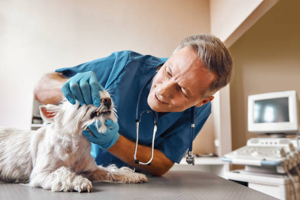  Souderton, PA Emergency Dentist Pros